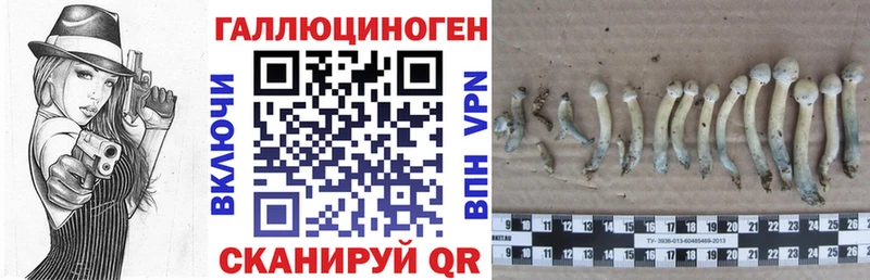 Галлюциногенные грибы Psilocybine cubensis купить закладку Электрогорск